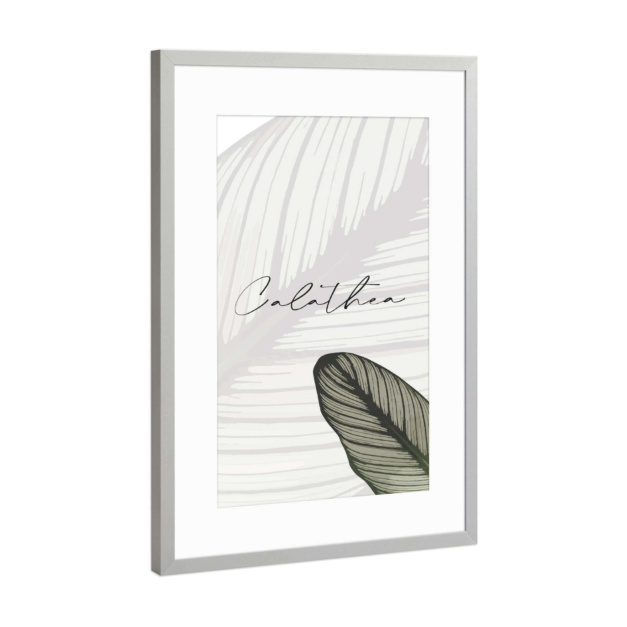 Poster mit Rahmen Silber "Calathea Pflanzen" artboxONE - Typografie,Natur,Floral