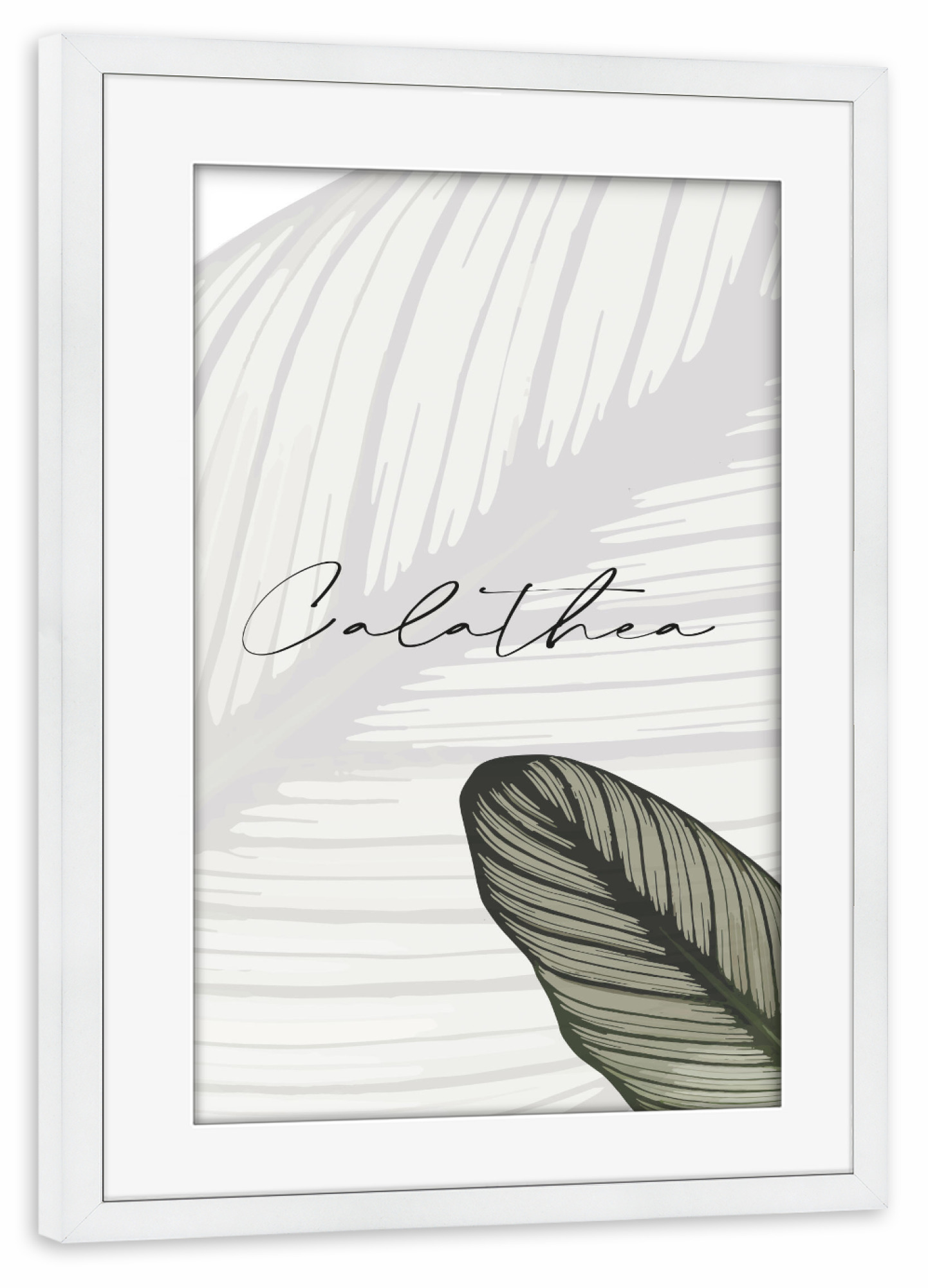 Poster mit Rahmen weiß "Calathea Pflanzen" artboxONE - Typografie,Natur,Floral