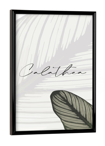 Poster mit schwarzem Rahmen "Calathea Pflanzen" artboxONE - Typografie,Natur,Floral