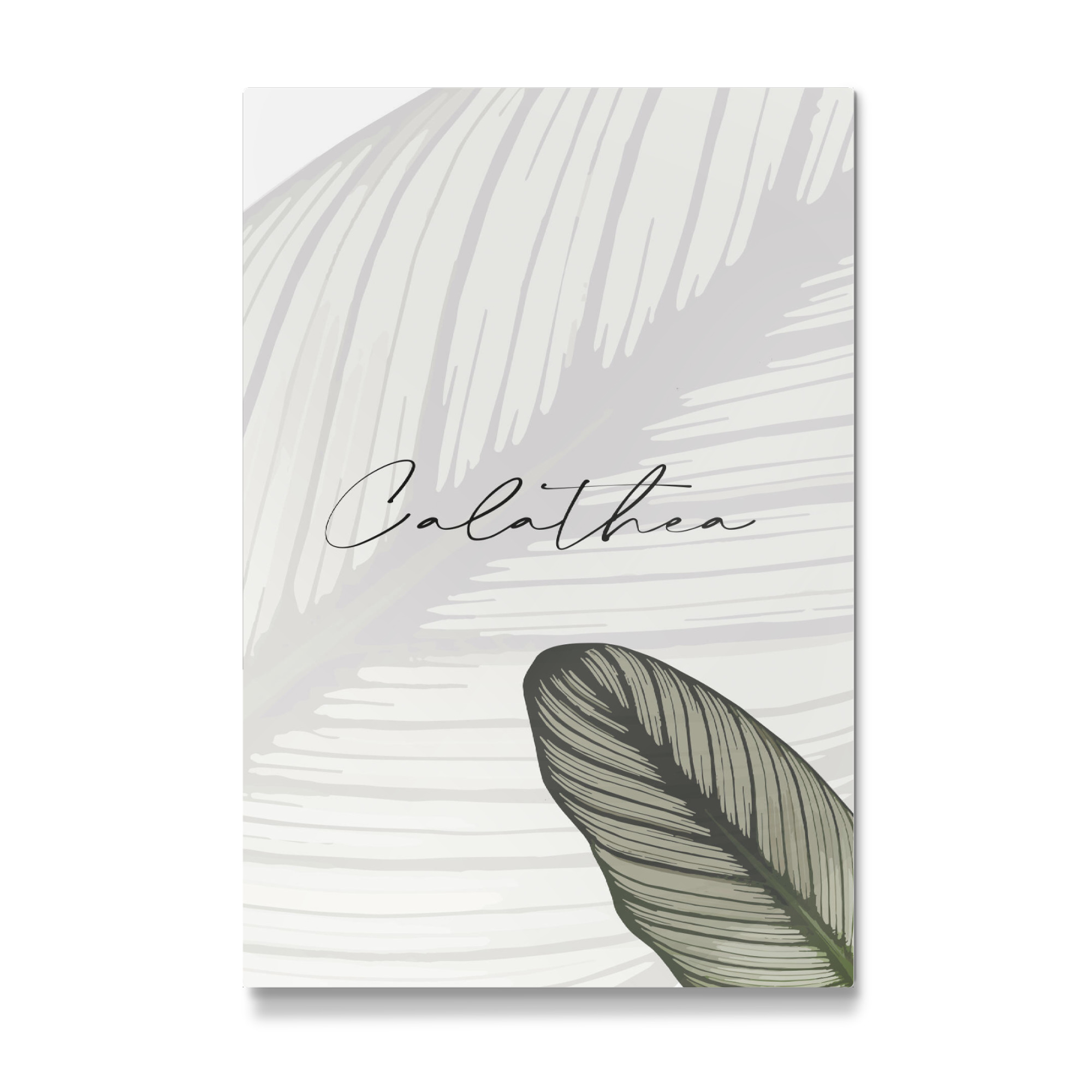 Galerie-Print "Calathea Pflanzen" 30x20 cm artboxONE