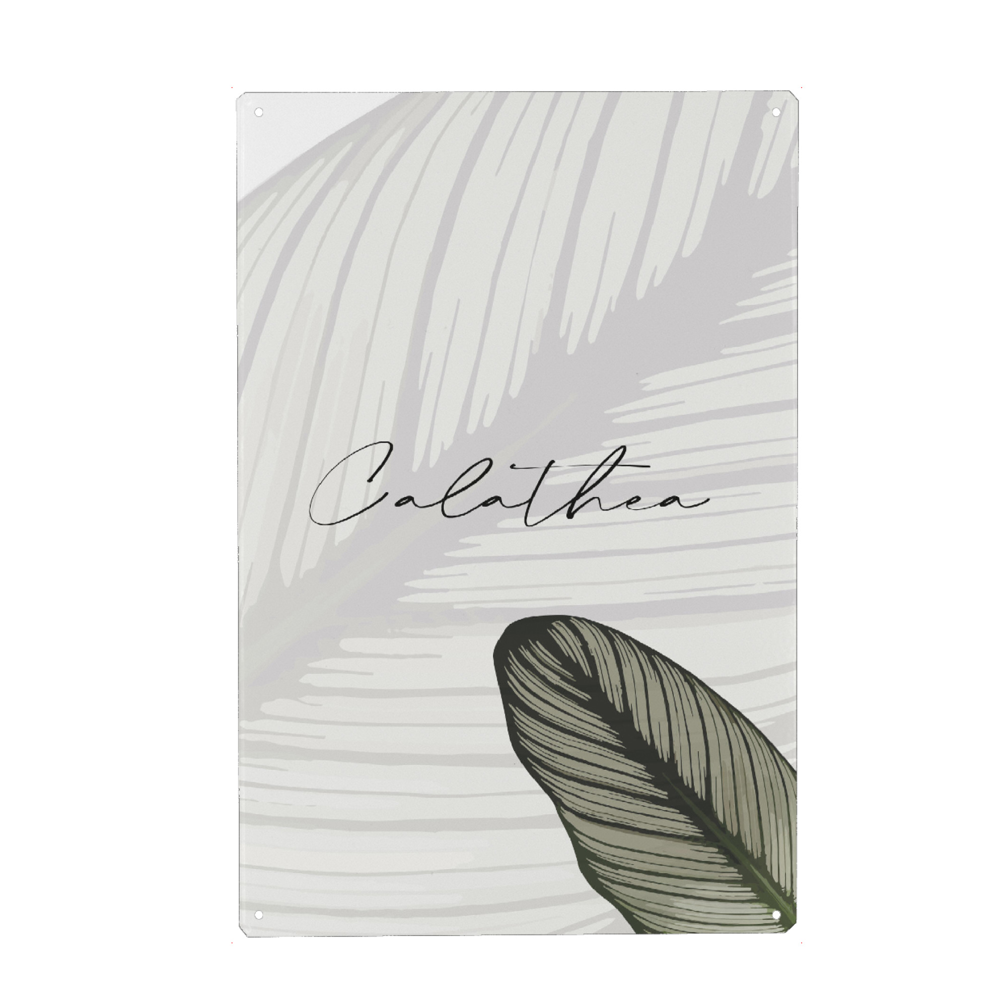 Metall Poster "Calathea Pflanzen" artboxONE - Typografie,Natur,Floral - Pflanze,Calathea,Typografie,Zimmerpflanze,Pflanzenliebe,Botanical,Typo,Floral