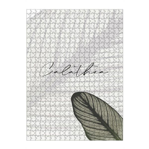 artboxONE Puzzle "Calathea Pflanzen" artboxONE - Typografie,Natur,Floral
