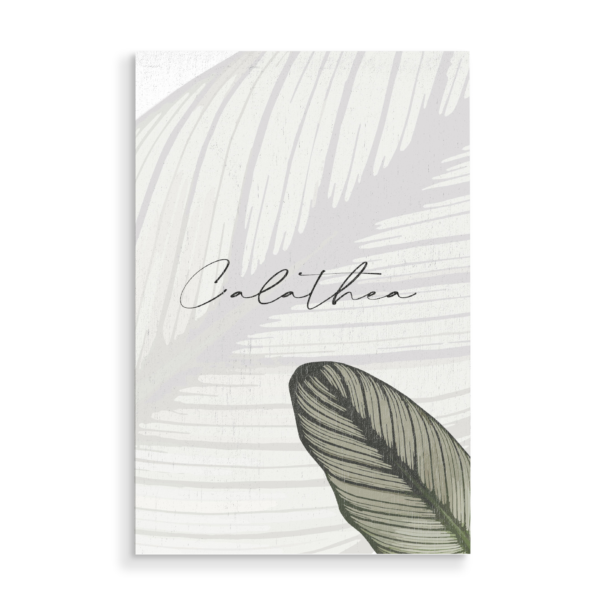 Holzbild "Calathea Pflanzen" artboxONE - Typografie,Natur,Floral - Pflanze,Calathea,Typografie,Zimmerpflanze,Pflanzenliebe,Botanical,Typo,Floral