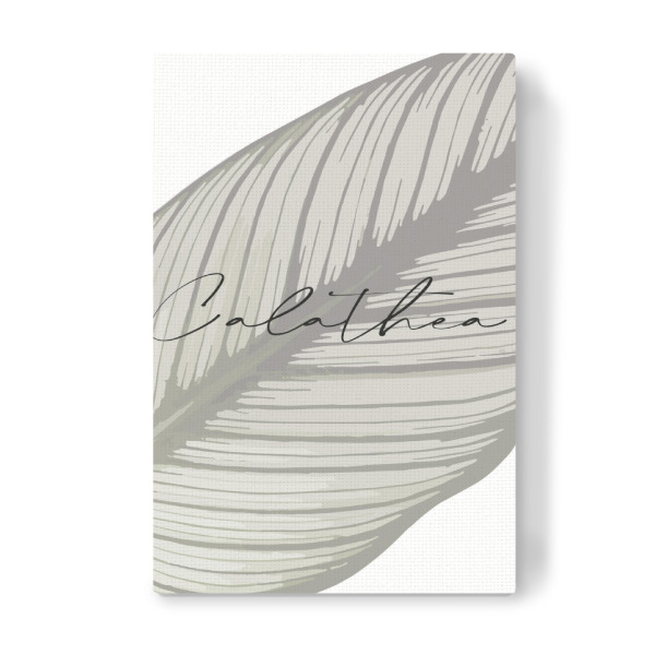 Leinwandbild "Pflanze Calathea" artboxONE - Typografie,Natur,Floral