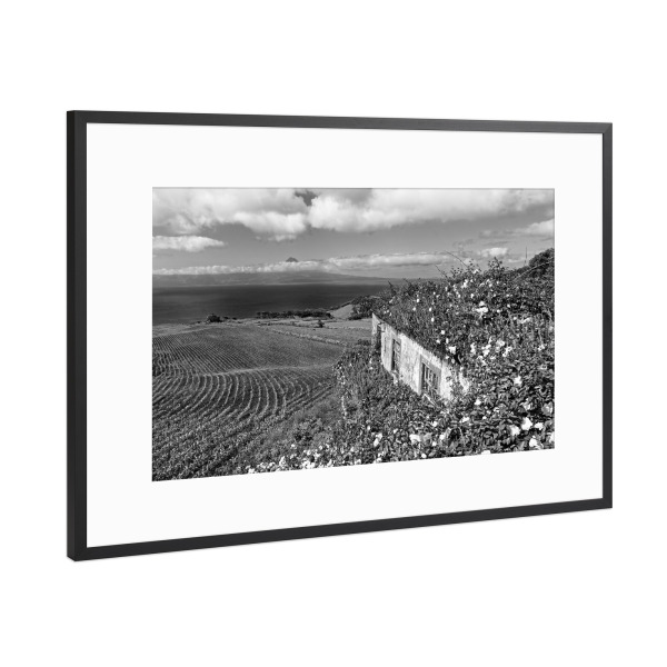 Poster mit Rahmen Schwarz (Metallic) "Azoren - Lost place" artboxONE - Natur,Schwarzweiß,Reise / Strand und Meer,Reise / Länder