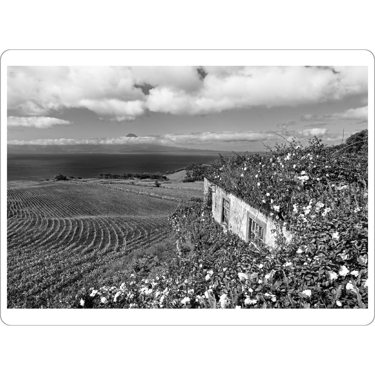 Tischset "Azoren - Lost place" artboxONE - Natur,Schwarzweiß,Reise / Strand und Meer,Reise / Länder