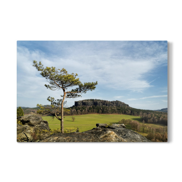 Galerie-Print "Elbsandsteingebirge - Ausblick" 30x20 cm artboxONE
