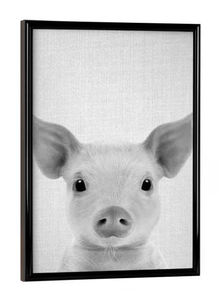 Poster mit schwarzem Rahmen "Piglet - Black & White" artboxONE - Natur,Für Kinder,Tiere,Schwarzweiß,Lustig