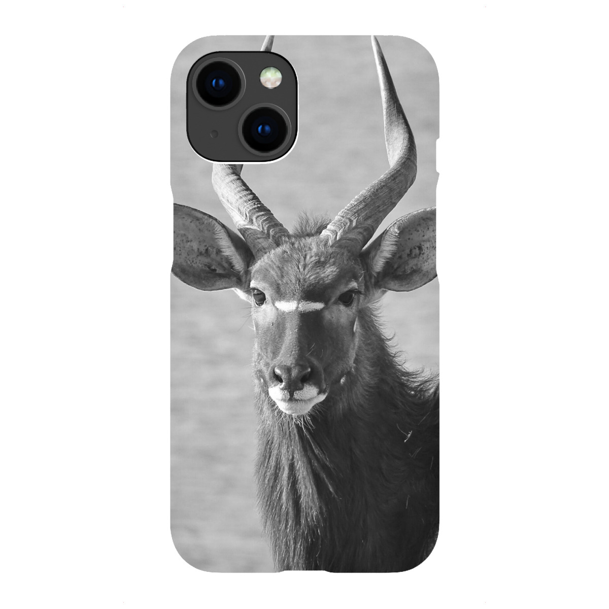 "Nyala Bulle"für iPhone - Premium-Case Handyhülle artboxONE