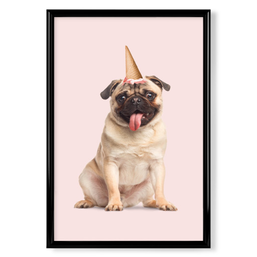 PUGICORN