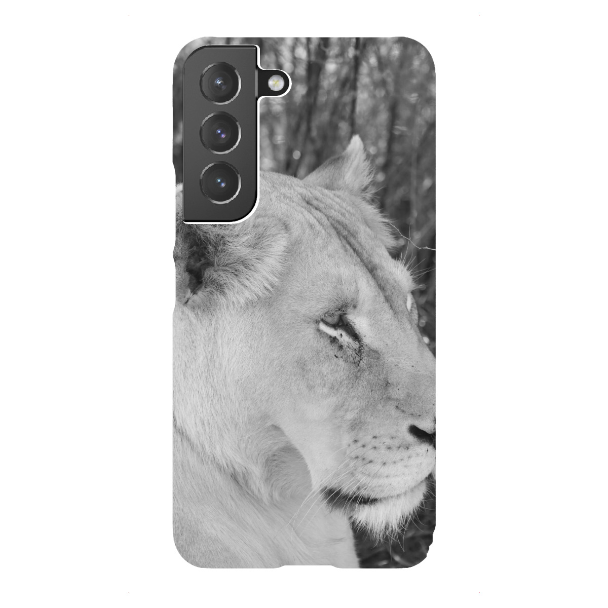 "Weiße Löwin im Portrait"für Samsung Galaxy - Premium-Case Handyhülle artboxONE
