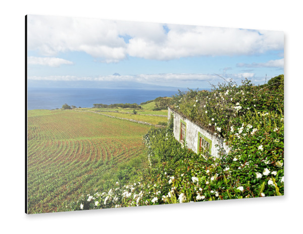 Alu-Dibond "Haus mit Blumen und Inselblick" 30x20 cm artboxONE