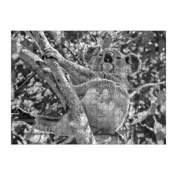 Puzzle Ravensburger "Koala im Baum" artboxONE - Natur,Tiere,Schwarzweiß - Koala,Koalabär,Australien,Animal,Nature,Wild,Baum - Bild koala