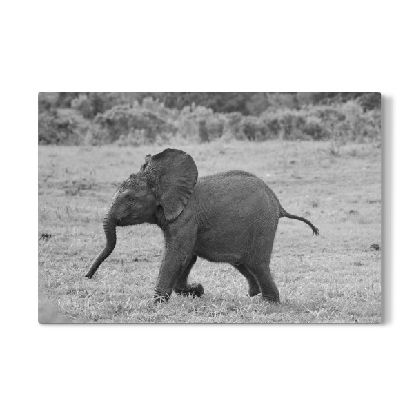 Galerie-Print "Elefantenbaby beim Rennen" 30x20 cm artboxONE
