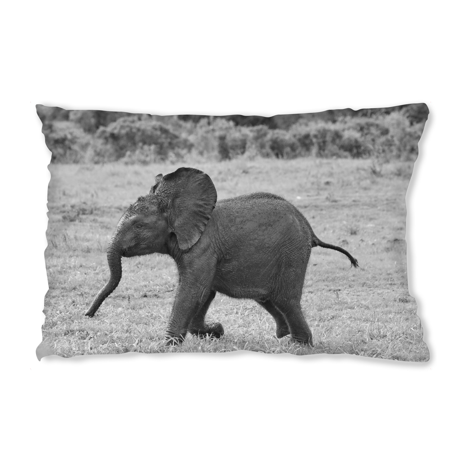 Design-Kissen "Elefantenbaby beim Rennen" artboxONE - Natur,Tiere,Schwarzweiß,Reise / Afrika