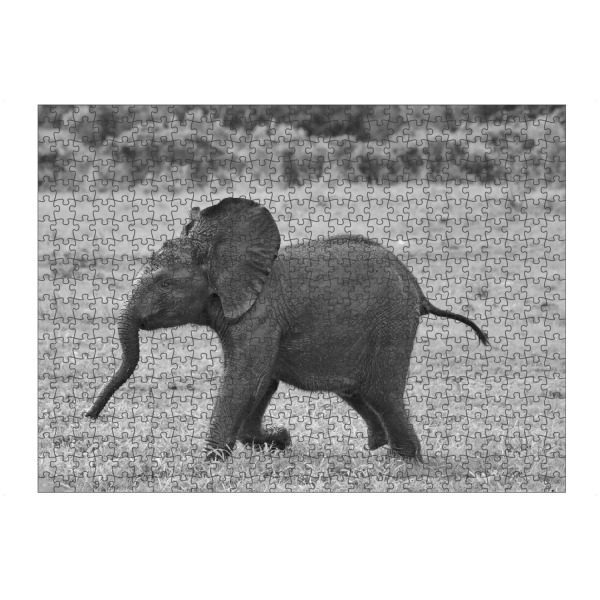 artboxONE Puzzle "Elefantenbaby beim Rennen" artboxONE - Natur,Tiere,Schwarzweiß,Reise / Afrika