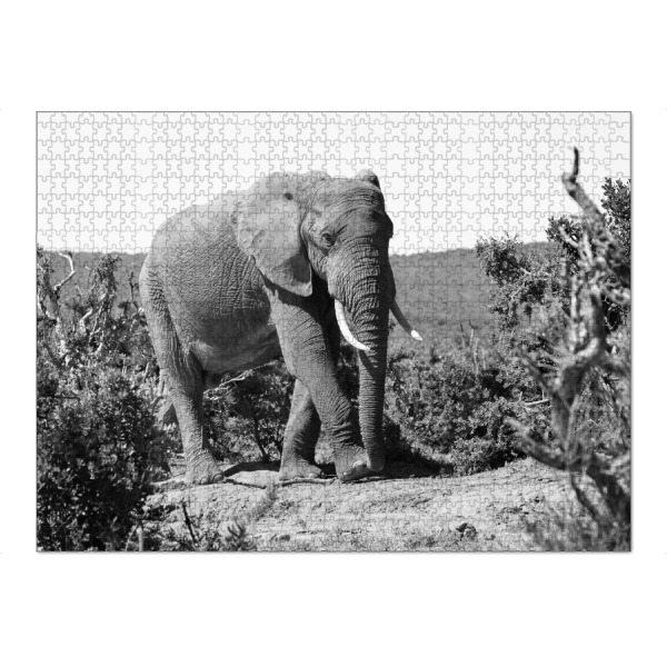 Puzzle Ravensburger "Elefanten Bulle in Afrika" artboxONE - Natur,Tiere,Schwarzweiß,Reise / Afrika