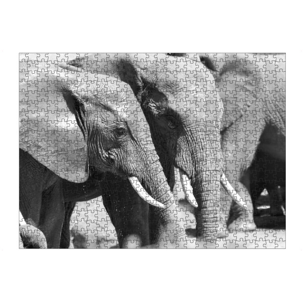 Puzzle Ravensburger "Elefanten Duo" artboxONE - Natur,Tiere,Schwarzweiß,Reise / Afrika