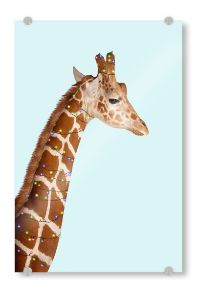 Acrylglasbild "CHRISTMAS GIRAFFE" artboxONE - Für Kinder,Tiere,Weihnachten,Lustig