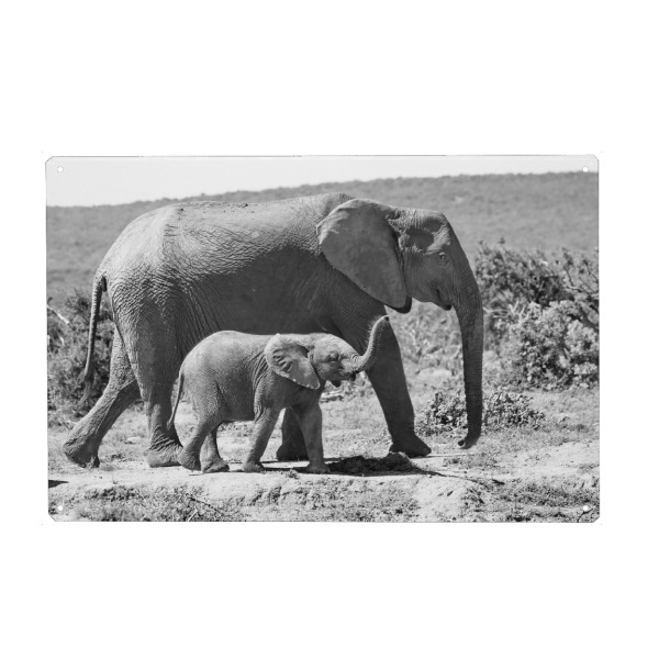 Holzbild "Elefanten - Mutter mit Baby" artboxONE - Natur,Tiere,Schwarzweiß,Reise / Afrika