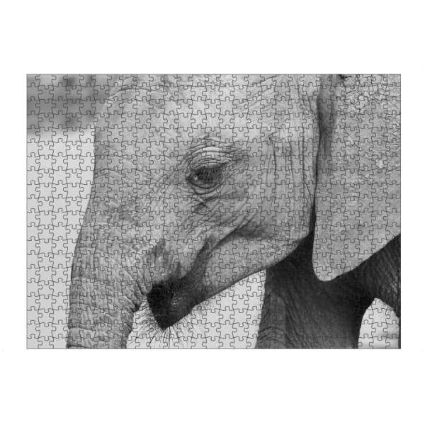 artboxONE Puzzle "Portrait eines jungen Elefanten" artboxONE - Natur,Tiere,Schwarzweiß,Reise / Afrika