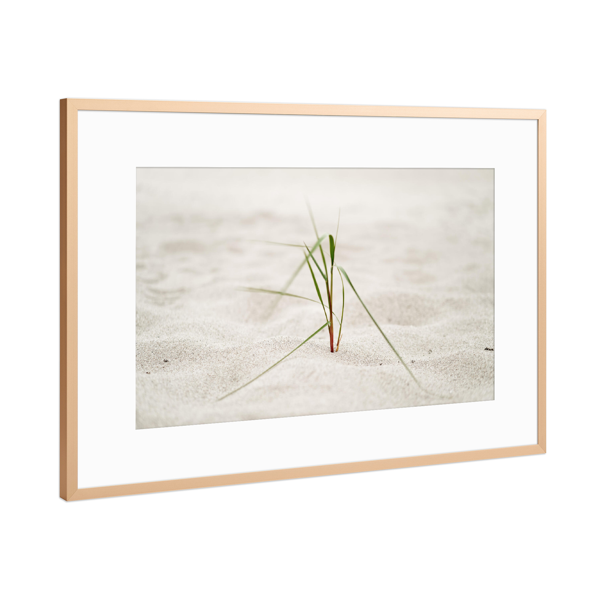 Poster mit Rahmen Kupfer "Strandgras im Seewind" artboxONE - Natur,Floral,Reise / Strand und Meer