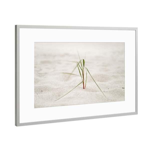 Poster mit Rahmen Silber "Strandgras im Seewind" artboxONE - Natur,Floral,Reise / Strand und Meer