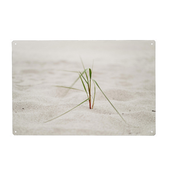 Holzbild "Strandgras im Seewind" artboxONE - Natur,Floral,Reise / Strand und Meer