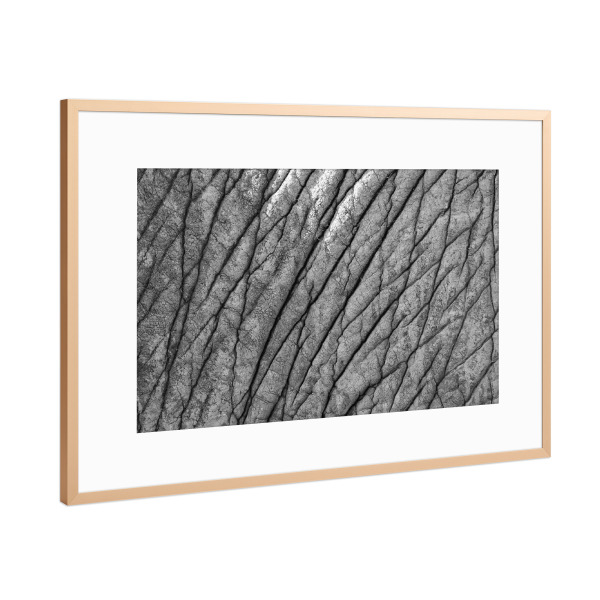 Poster mit Rahmen Kupfer "Elefantenhaut Muster" artboxONE - Natur,Tiere,Schwarzweiß,Reise / Afrika