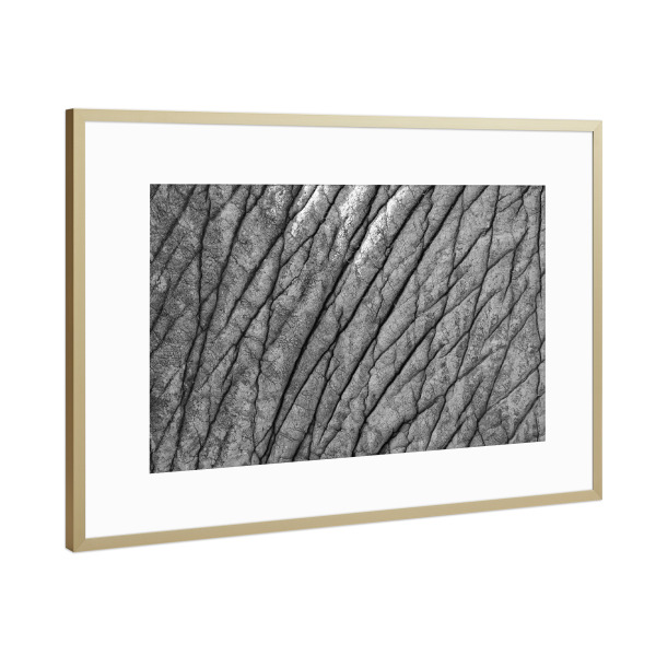 Poster mit Rahmen Gold "Elefantenhaut Muster" artboxONE - Natur,Tiere,Schwarzweiß,Reise / Afrika