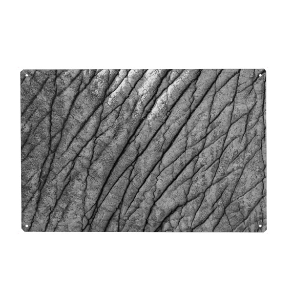 Holzbild "Elefantenhaut Muster" artboxONE - Natur,Tiere,Schwarzweiß,Reise / Afrika - Elefant,Haut,Muster,Afrika,Wild,Animal,Tier,Skin,Elephant