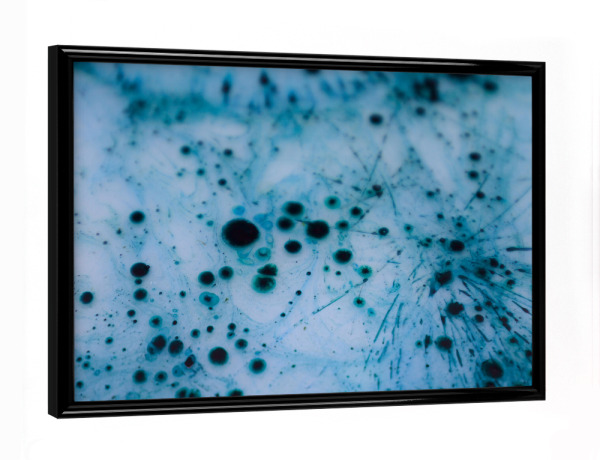 Poster mit schwarzem Rahmen "BLACK DOTS ON BLUE" artboxONE - Abstrakt