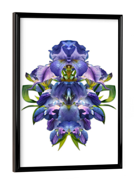 Poster mit schwarzem Rahmen "Blaues Wunder" artboxONE - Natur,Floral,Abstrakt,Für Mama