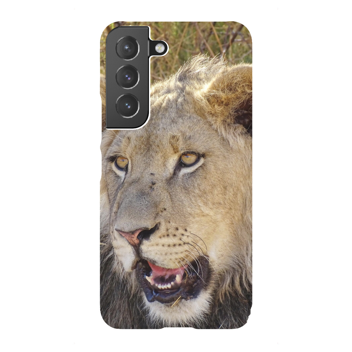 Samsung Galaxy "Schöner junger Löwe farbig" Premium-Case Handyhülle artboxONE