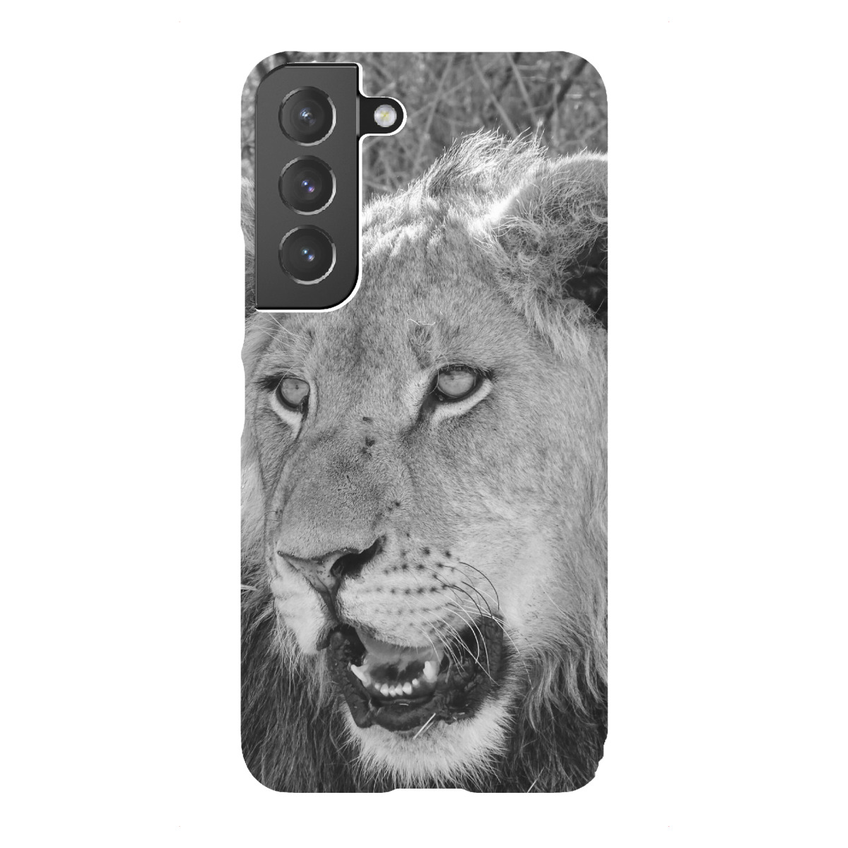 Samsung Galaxy "Schöner junger Löwe" Premium-Case Handyhülle artboxONE