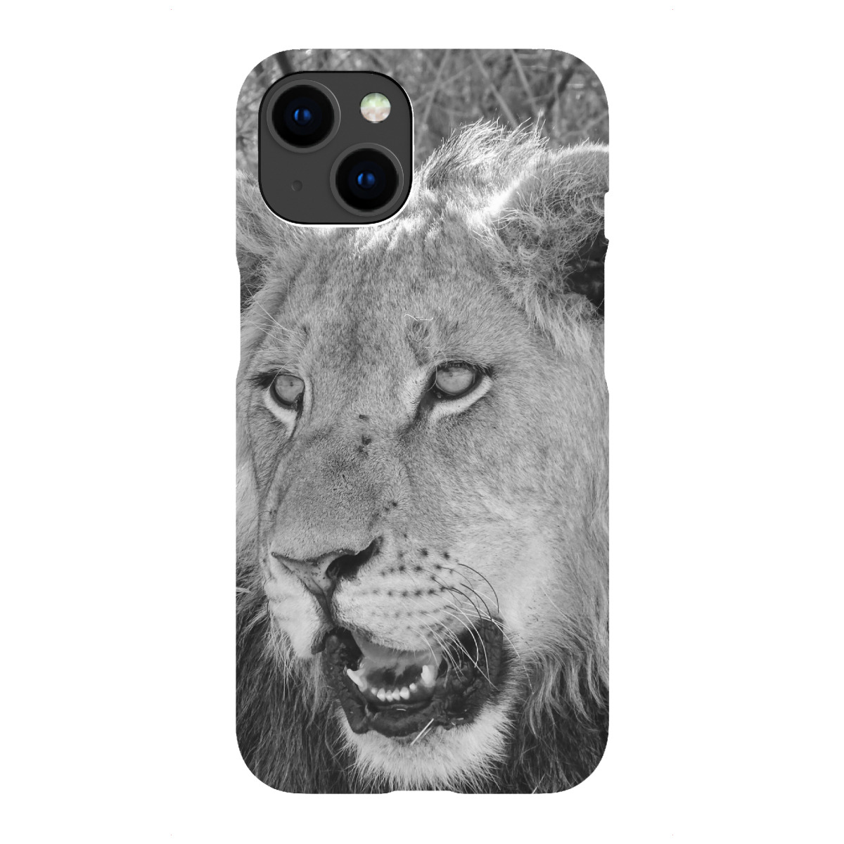 iPhone "Schöner junger Löwe" Premium-Case Handyhülle artboxONE