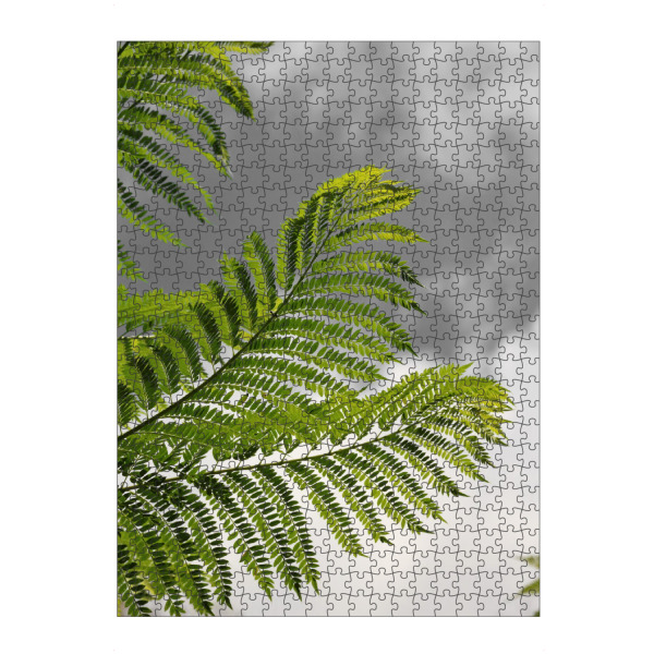 artboxONE Puzzle "Farn Blätter in Afrika CK" artboxONE - Natur,Floral,Reise / Afrika