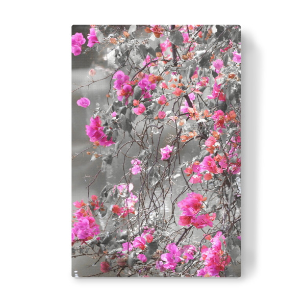 Leinwandbild "Bougainvillea Strauch CK" artboxONE - Natur,Floral,Abstrakt - Bougainvillea,Strauch,Pflanze,Colorkey,Plant,Floral,Blumen,Natur,Nature