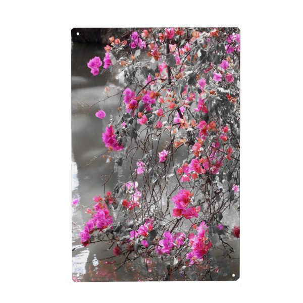 Holzbild "Bougainvillea Strauch CK" artboxONE - Natur,Floral,Abstrakt - Bougainvillea,Strauch,Pflanze,Colorkey,Plant,Floral,Blumen,Natur,Nature