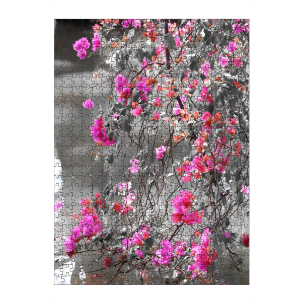 Puzzle Ravensburger "Bougainvillea Strauch CK" artboxONE - Natur,Floral,Abstrakt