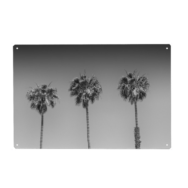 Holzbild "Monochrome Palmen" artboxONE - Natur,Schwarzweiß,Reise / Strand und Meer