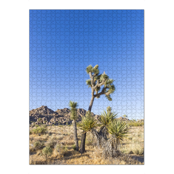 Puzzle Ravensburger "Joshua Tree Idylle" artboxONE - Natur,Reise / Länder