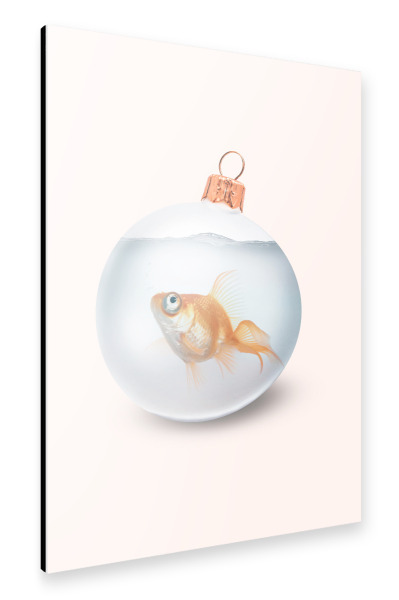 Alu-Dibond "CHRISTMAS GOLDFISH" 30x20 cm artboxONE