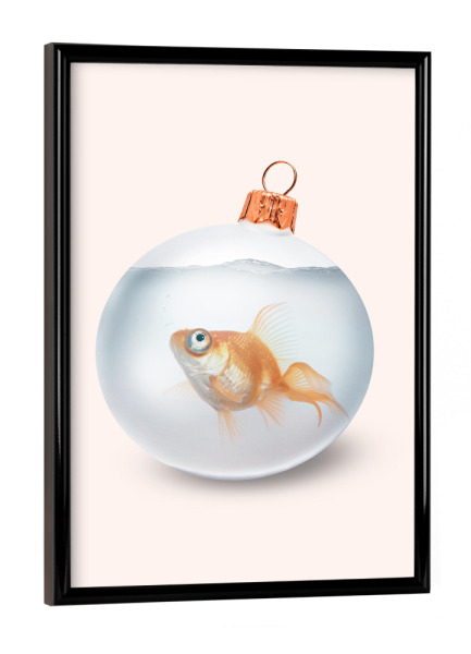 Poster mit schwarzem Rahmen "CHRISTMAS GOLDFISH" artboxONE - Für Kinder,Tiere,Weihnachten,Lustig