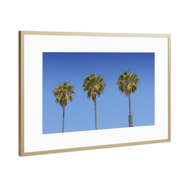 Poster mit Rahmen Gold "Palmen am Strand" artboxONE - Natur,Reise / Strand und Meer