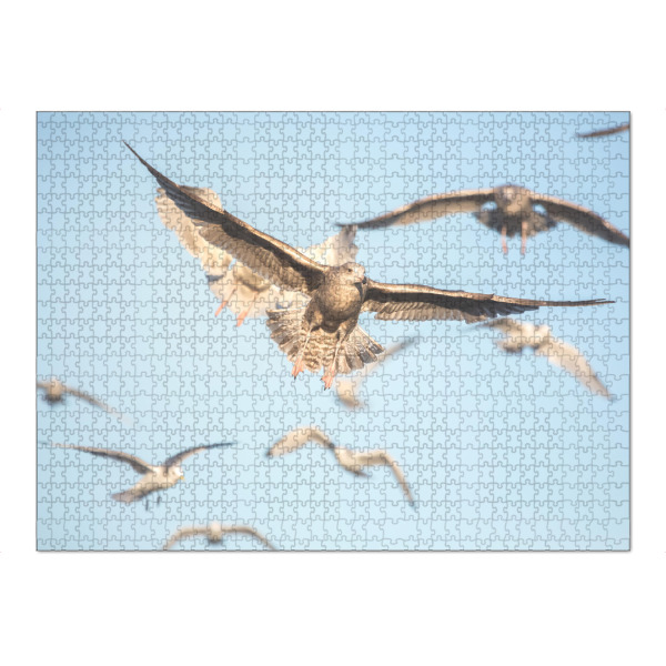 Puzzle Ravensburger "Möwenflug" artboxONE - Tiere,Reise / Strand und Meer