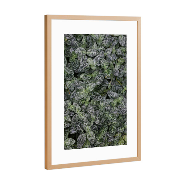 Poster mit Rahmen Kupfer "Tropical Forest Leaves" artboxONE - Natur,Reise