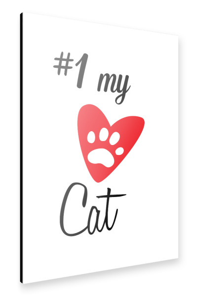 Alu-Dibond "Meine Katze" 30x20 cm artboxONE