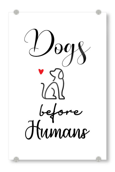 Acrylglasbild "Lieber Hunde" artboxONE - Typografie,Tiere,Schwarzweiß