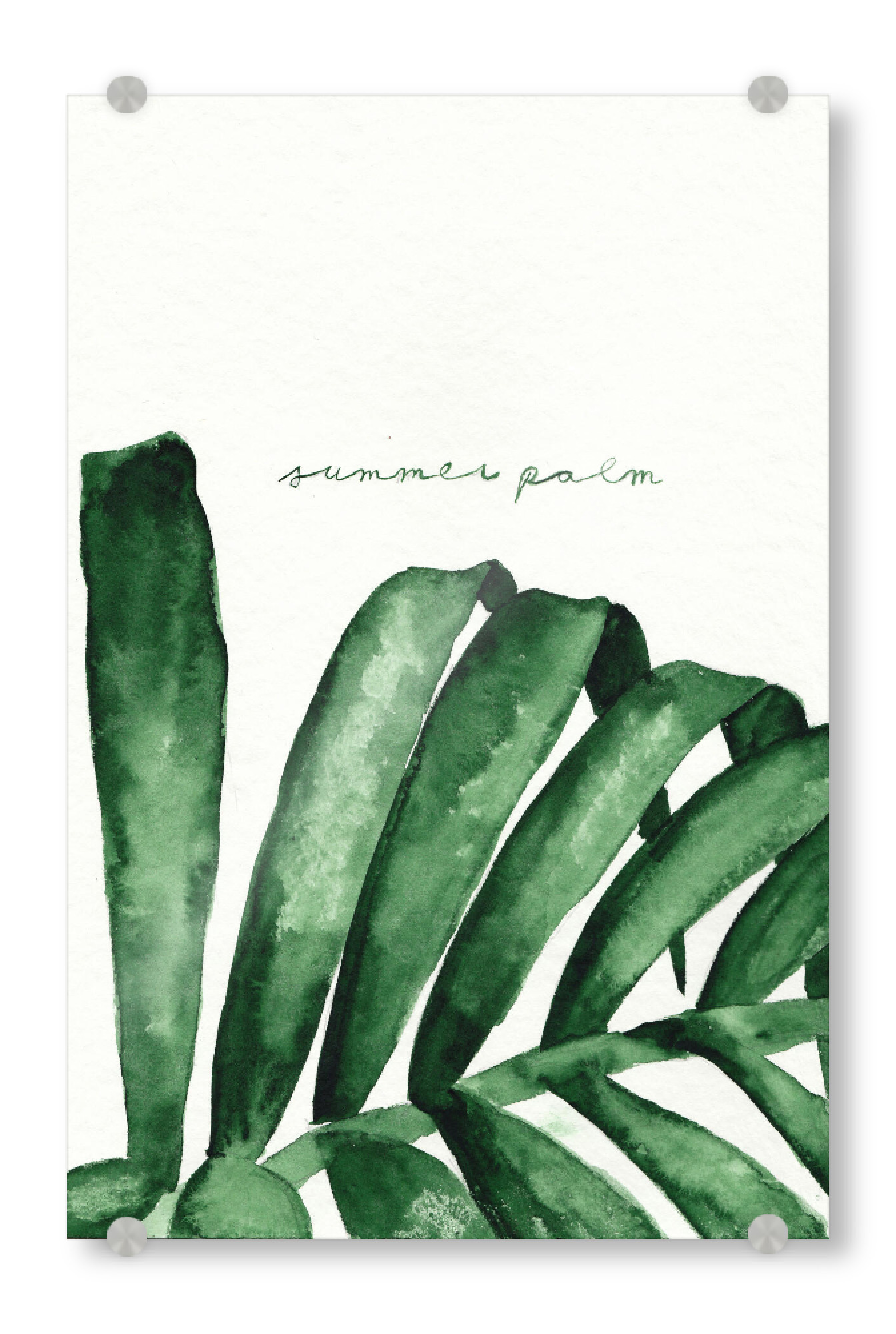 Acrylglasbild "The summer palm" artboxONE - Typografie,Natur